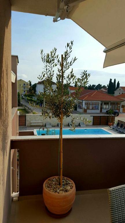 Antonija Apartments With Pool Биоград-на-Мору Экстерьер фото